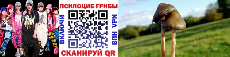 где купить наркотик Куртамыш Галлюциногенные грибы GOLDEN TEACHER